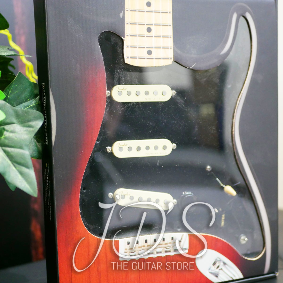 Accessories | JDS MUSIC | JDs Music (The Guitar Store 